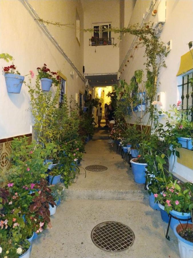 Casa Jurel Leilighet Conil De La Frontera Eksteriør bilde
